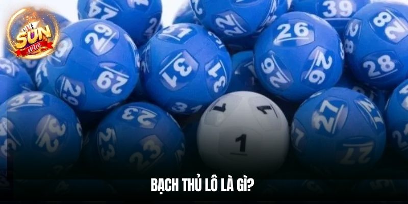 Bạch thủ lô là gì? 
