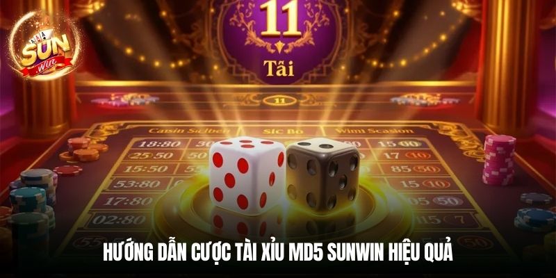 Hướng dẫn cược Tài Xỉu MD5 Sunwin hiệu quả